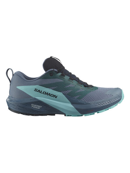 SALOMON SENSE RIDE 5 GTX Herren Trailrunning Sch | EU 44 2/3 | blau