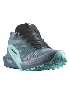 SALOMON SENSE RIDE 5 GTX Herren Trailrunning Sch | EU 44 2/3 | blau