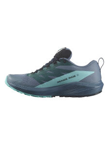 SALOMON SENSE RIDE 5 GTX Herren Trailrunning Sch | EU 44 2/3 | blau