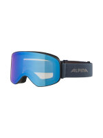 Alpina Slope Q-Lite Skibrille