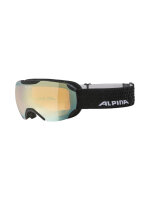 ALPINA Pheos S Q-Lite Skibrille | O/S | schwarz