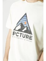 PICTURE Authentic Tee T-Shirt Herren | M | grün