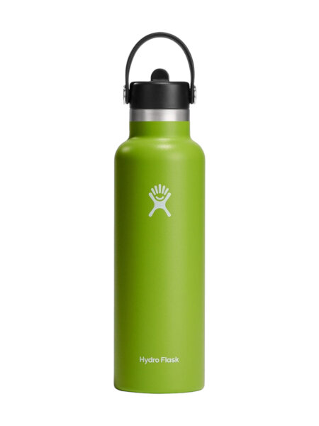 HYDRO FLASK 21 Oz Standard Flex Straw Cap Trinkflasche seagrass 621 ml