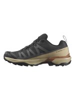 SALOMON X Ultra360 GTX phantom-safari-cara | EU 42 2/3