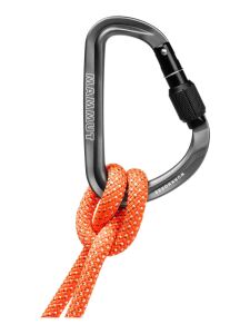 MAMMUT Workhorse HMS Screwgate Karabiner zum Sichern Grey one size