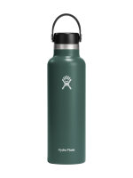 HYDRO FLASK 21 oz Std Mouth Flex Cap fir