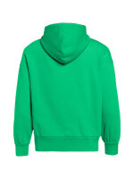 GOLDBERGH Sparkling Hooded Sweater ice green