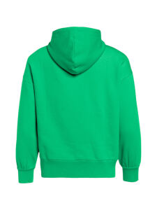 GOLDBERGH Sparkling Hooded Sweater Damen Kapuzenpulli ice green | L