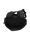 WHISTLER Froswick Backpack Rucksack Black Gr. O/S