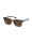 GAMSWILD EYEWEAR WM7032 Modebrille braun/braun | O/S